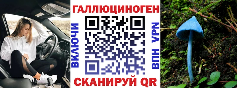 Псилоцибиновые грибы Cubensis Высоцк